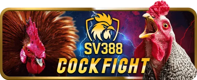 Đá gà cựa dao bet18