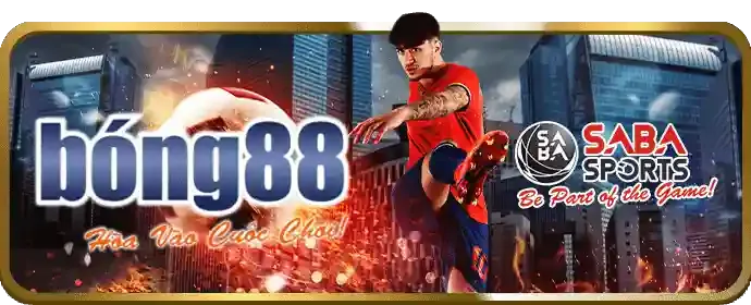 Đá gà Thomo bet18